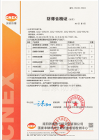 防爆小袋真空包裝機(jī)